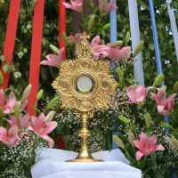Uroczystość Najświętszego Ciała i Krwi Pańskiej 2014 - zdjęcie 189