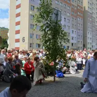 Uroczystość Najświętszego Ciała i Krwi Pańskiej 2014 - zdjęcie 232