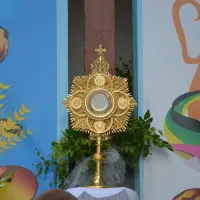 Uroczystość Najświętszego Ciała i Krwi Pańskiej 2014 - zdjęcie 249