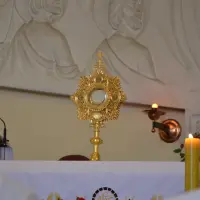 Uroczystość Najświętszego Ciała i Krwi Pańskiej 2014 - zdjęcie 315