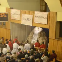 Triduum 2014 - Wielki Piątek - zdjęcie 62