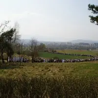 Triduum 2008 - Droga Krzyżowa - zdjęcie 90