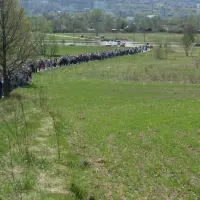 Triduum 2011 - Droga Krzyżowa - zdjęcie 26
