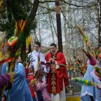 Niedziela Palmowa 2014 - zdjęcie 5
