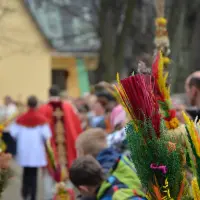 Niedziela Palmowa 2014 - zdjęcie 6