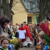 Niedziela Palmowa 2014 - zdjęcie 7