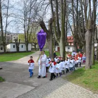Niedziela Palmowa 2014 - zdjęcie 18