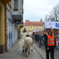 Marsz dla Życia i Oratorium w Legnicy - zdjęcie 22