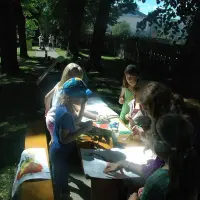 Piknik parafialny 2008 - zdjęcie 1