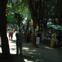 Piknik parafialny 2008 - zdjęcie 9