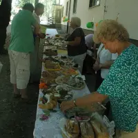 Piknik parafialny 2008 - zdjęcie 50