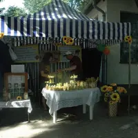 Piknik parafialny 2008 - zdjęcie 75
