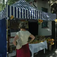 Piknik parafialny 2008 - zdjęcie 109