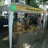 Piknik parafialny 2008 - zdjęcie 114