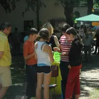 Piknik parafialny 2008 - zdjęcie 176