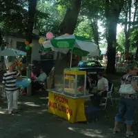 Piknik parafialny 2008 - zdjęcie 239