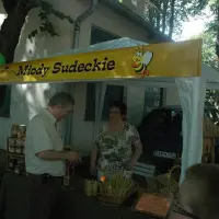 Piknik parafialny 2008 - zdjęcie 244