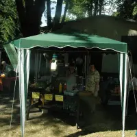 Piknik parafialny 2008 - zdjęcie 245