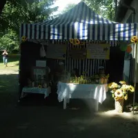Piknik parafialny 2008 - zdjęcie 247