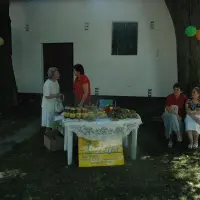 Piknik parafialny 2008 - zdjęcie 252