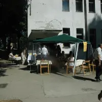 Piknik parafialny 2008 - zdjęcie 255