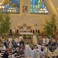 Uroczystość Najświętszego Ciała i Krwi Pańskiej - zdjęcie 334
