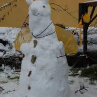 Ojcowskie Serce Boga - rekolekcje dla młodych Kreator - zdjęcie 17