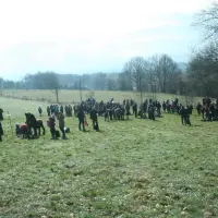Pielgrzymka do Dąbrowicy - zdjęcie 90