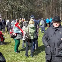 Pielgrzymka do Dąbrowicy - zdjęcie 104