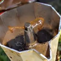 Pielgrzymka do Dąbrowicy - zdjęcie 121