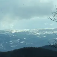 Pielgrzymka do Dąbrowicy - zdjęcie 217