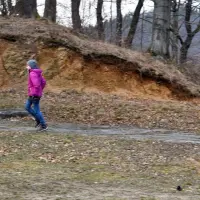 Pielgrzymka do Dąbrowicy - zdjęcie 266